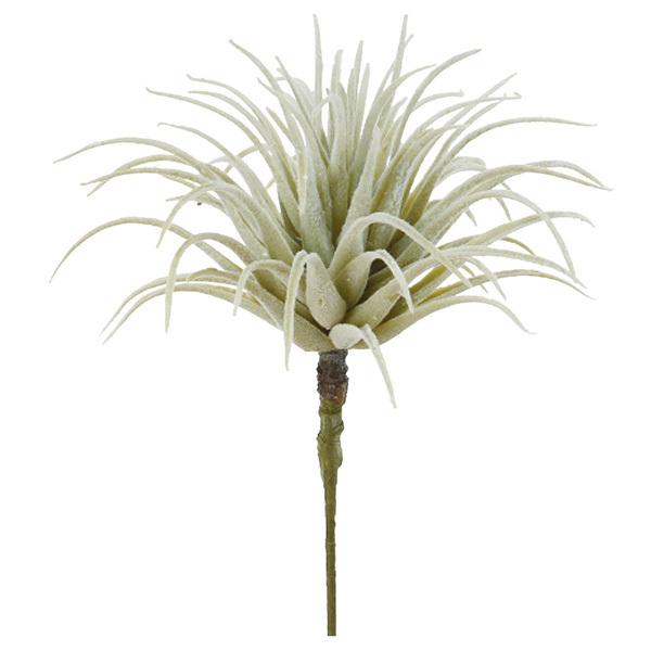 造花 グリーン 多肉植物 とりよせ品 ティランドシア エアプランツ サッカレンテン サボテン インテリア フェイク グリーン パーツ アスカ ASCA アスカ商会（Yahoo!・造花ドライフラワー専門問屋花びし）