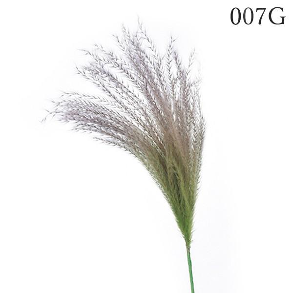 日本 造花 グリーン とりよせ品 Asca アスカ パンパス 驚きの値段で