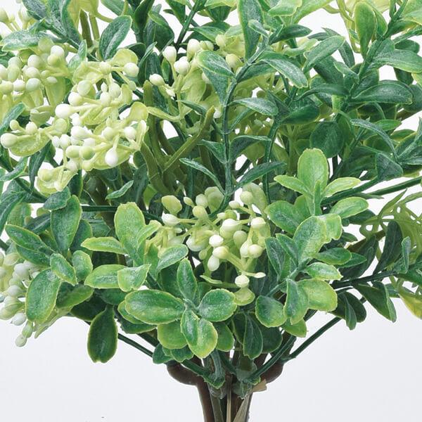 造花 グリーン 》◇とりよせ品◇Asca(アスカ) ボックスウッドバンチ(1束5本) ホワイトグリーン インテリア フェイク グリーン パーツ :asc-a-43404:造花ドライフラワー専門問屋花びし - 通販 - Yahoo!ショッピング 造花 グリーン 》◇とりよせ品◇Asca(アスカ) ボックスウッドバンチ(1束5本) ホワイトグリーン インテリア フェイク グリーン パーツ :asc-a-43404:造花ドライフラワー専門問屋花びし - 通販 - Yahoo!ショッピング