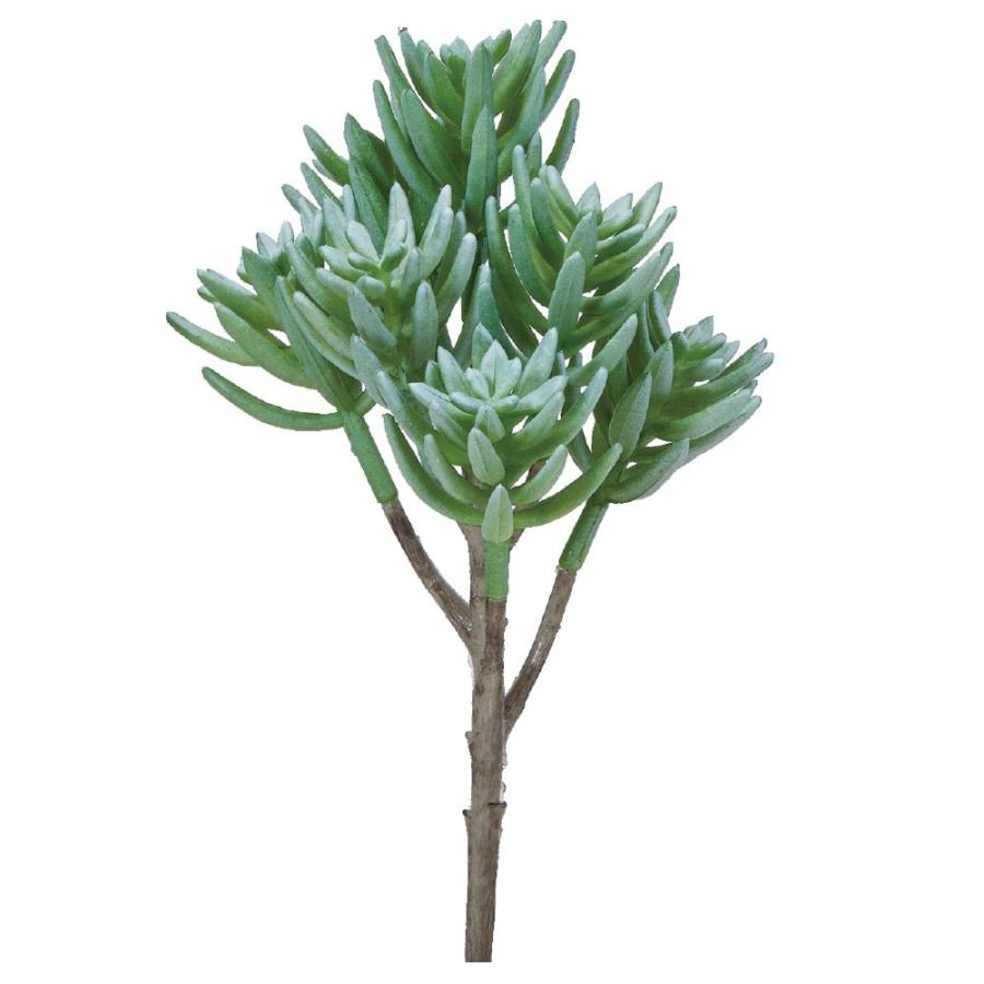 造花 グリーン 多肉植物 とりよせ品 サッカレンテン 多肉植物 人工多肉植物 インテリア フェイク グリーン パーツ アレンジメント アスカ ASCA アスカ商会（Yahoo!・造花ドライフラワー専門問屋花びし）