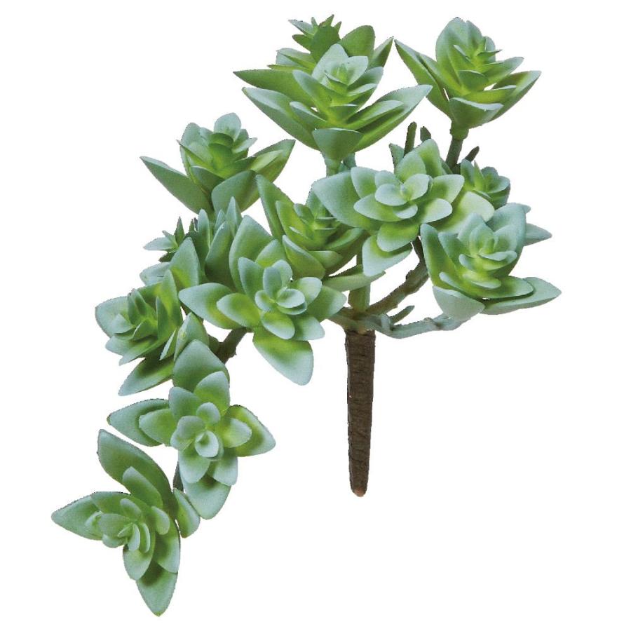 造花 グリーン 多肉植物 とりよせ品 サッカレンテン 多肉植物 人工多肉植物 インテリア フェイク グリーン パーツ アレンジメント アスカ ASCA アスカ商会（Yahoo!・造花ドライフラワー専門問屋花びし）