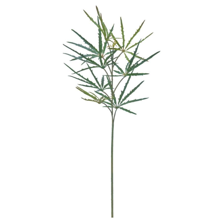 造花 グリーン とりよせ品 アラレア アラレア アラリア ウコギ科植物 インテリア フェイク グリーン パーツ インテリアフラワー アスカ ASCA アスカ商会（Yahoo!・造花ドライフラワー専門問屋花びし）