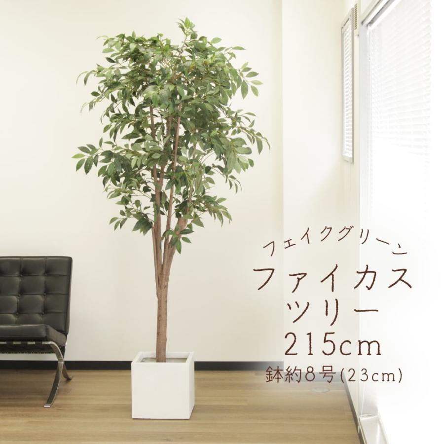 フェイクグリーン 観葉植物 とりよせ品 【メーカー直送品】 ファイカスツリー (ポット付) 215cm《代引不可・他商品との同梱不可》  アスカ ASCA アスカ商会