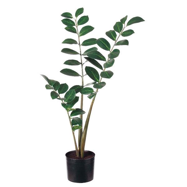 フェイクグリーン 観葉植物 とりよせ品 【メーカー直送品】 ザミフォリア (ポット付) 93cm 《代引不可・他商品との同梱不可》 1m アスカ ASCA アスカ商会