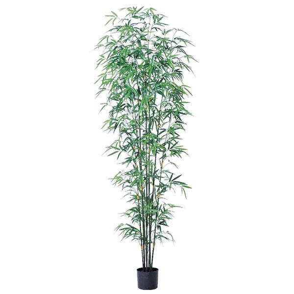 フェイクグリーン 観葉植物 とりよせ品 【メーカー直送品】 バンブーツリー (ポット付) 200cm《代引不可・他商品との同梱不可》  アスカ ASCA アスカ商会