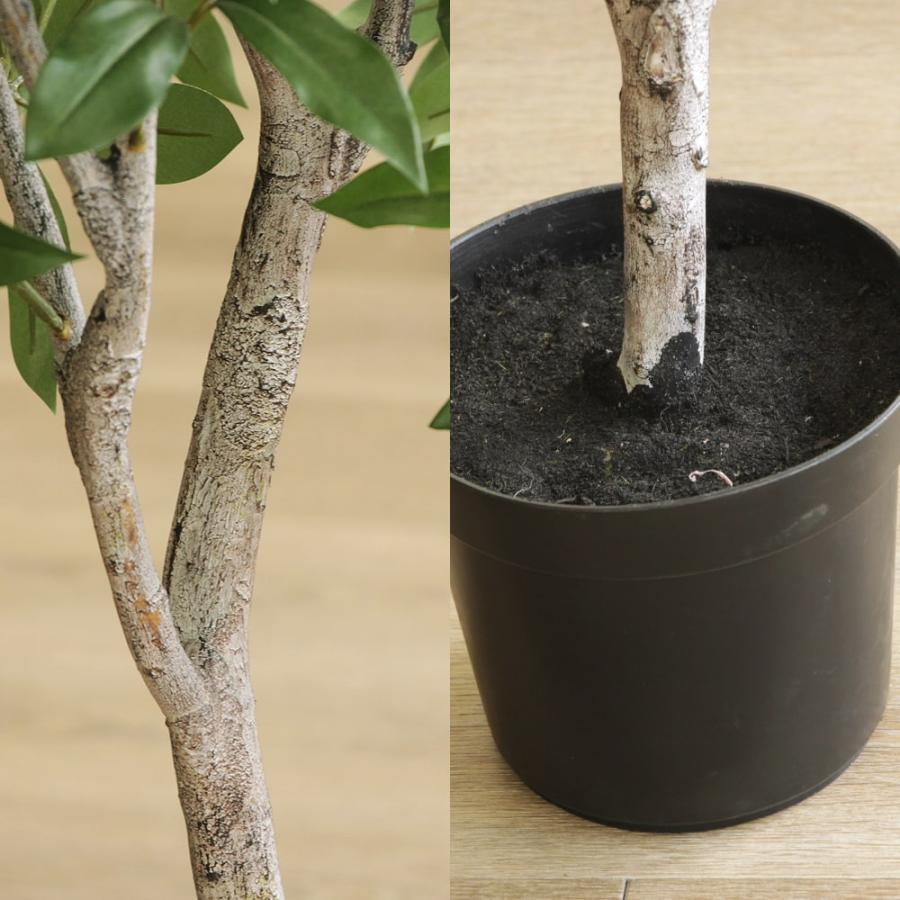 アスカ商会 フェイクグリーン 観葉植物 とりよせ品 【メーカー直送