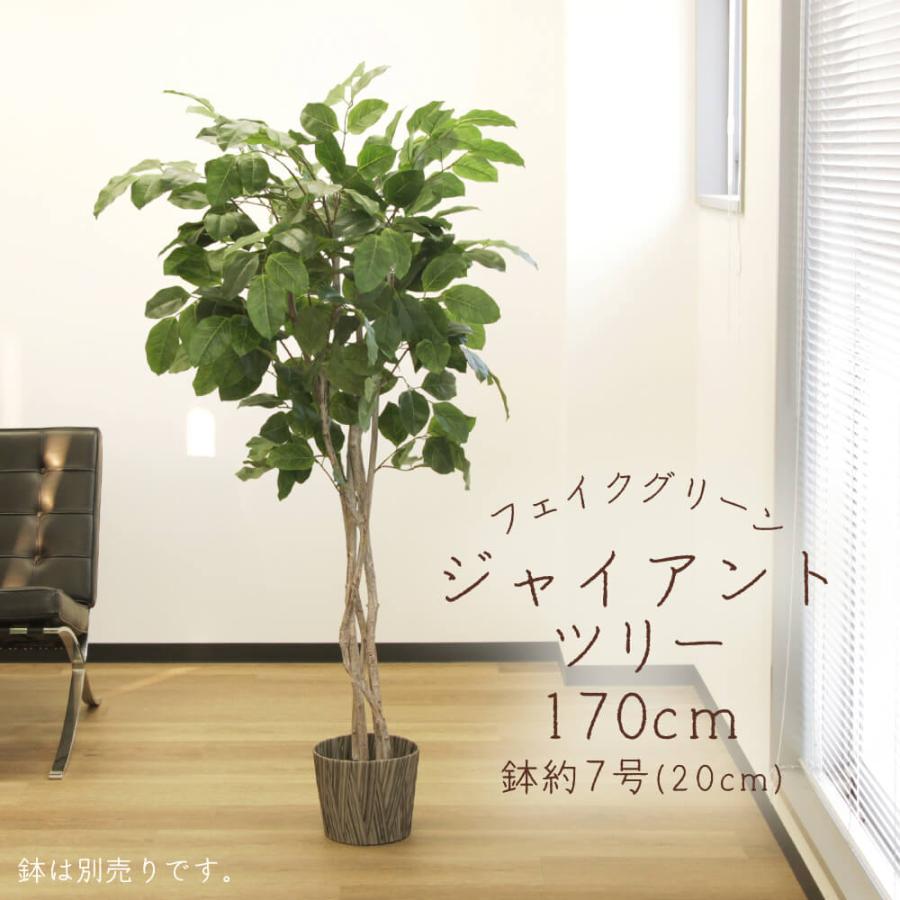 アスカ商会 フェイクグリーン 観葉植物 とりよせ品 【メーカー直送
