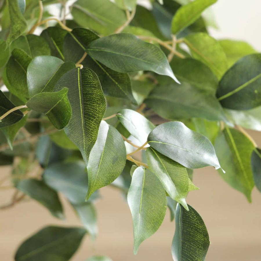 アスカ商会 フェイクグリーン 観葉植物 とりよせ品 【メーカー直送