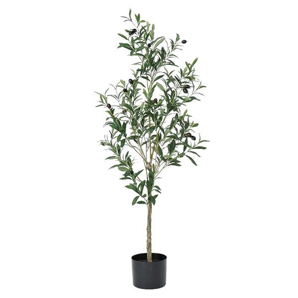 檜扇や真っ赤な山帰来とコアラファンを紡いだ クリスマス リース