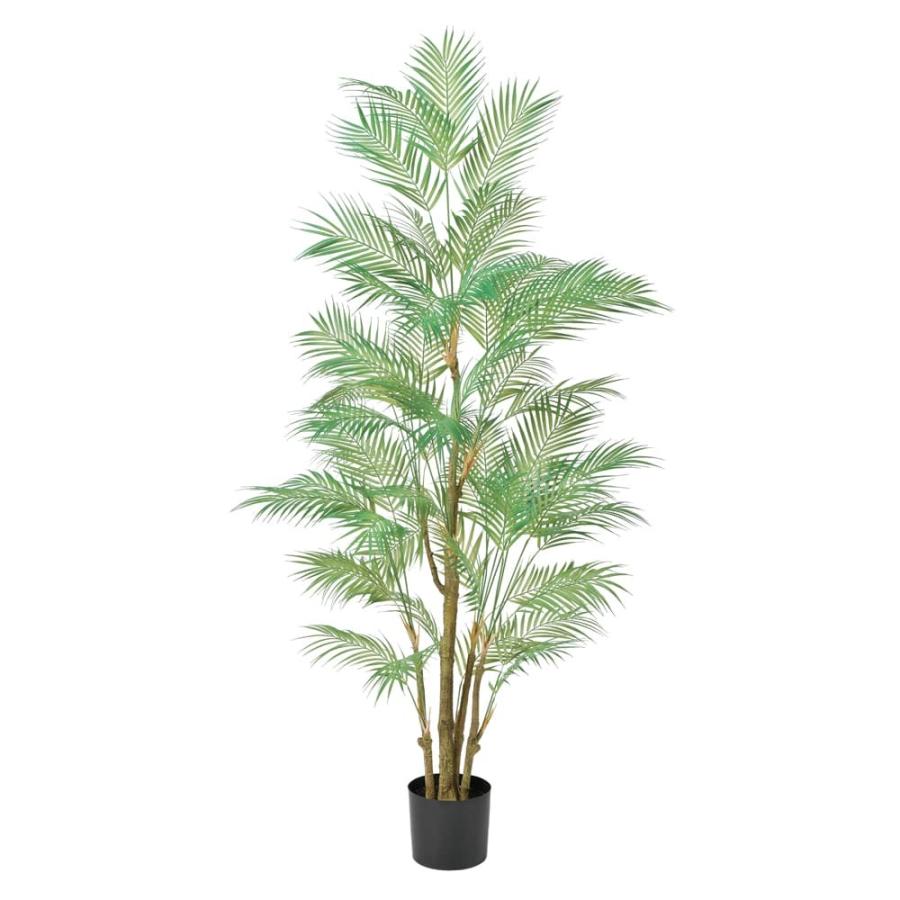 フェイクグリーン 観葉植物 とりよせ品 【メーカー直送】パーム(ポット付)190cm《代引不可・他商品との同梱不可》 観葉植物 1.9m アスカ ASCA アスカ商会