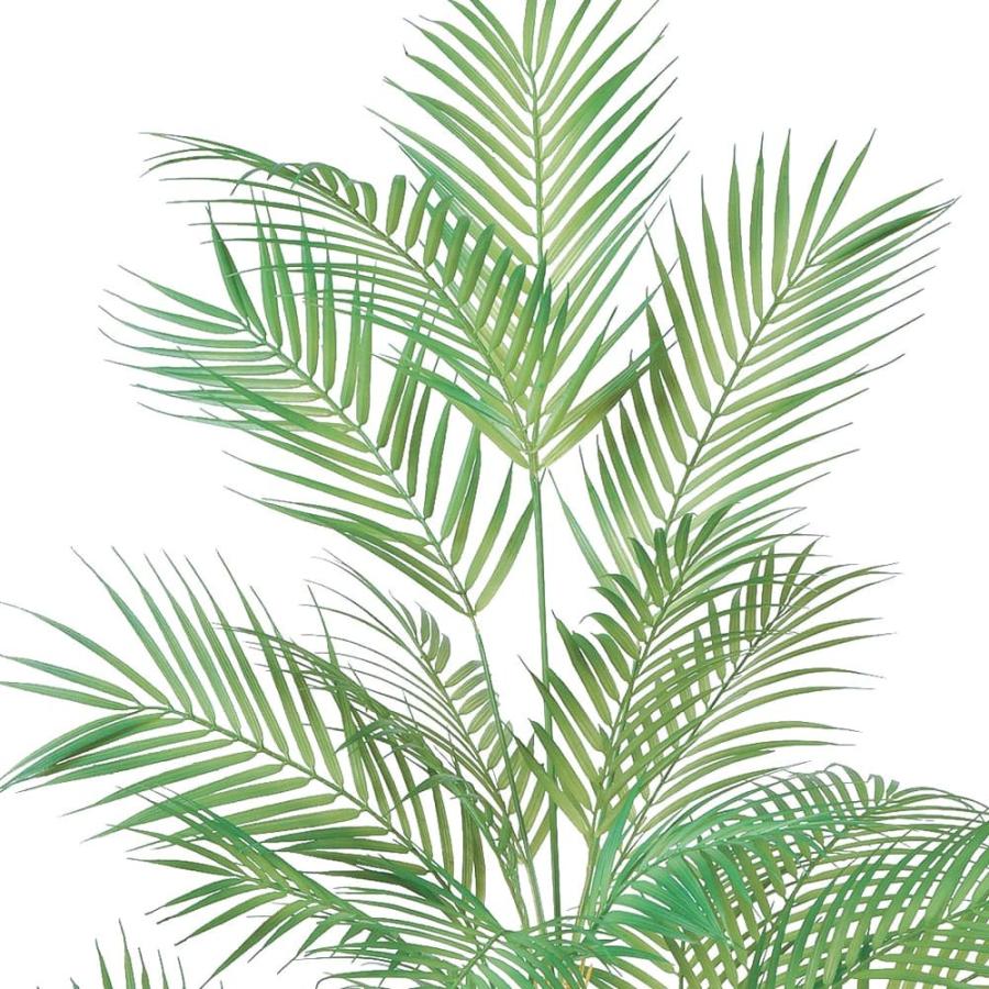 フェイクグリーン 観葉植物 とりよせ品 【メーカー直送】パーム(ポット付)190cm《代引不可・他商品との同梱不可》 観葉植物 1.9m アスカ ASCA アスカ商会_2