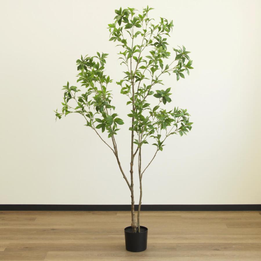 光触媒 人工観葉植物 ウォールグリーン フェイクグリーン アセビ175