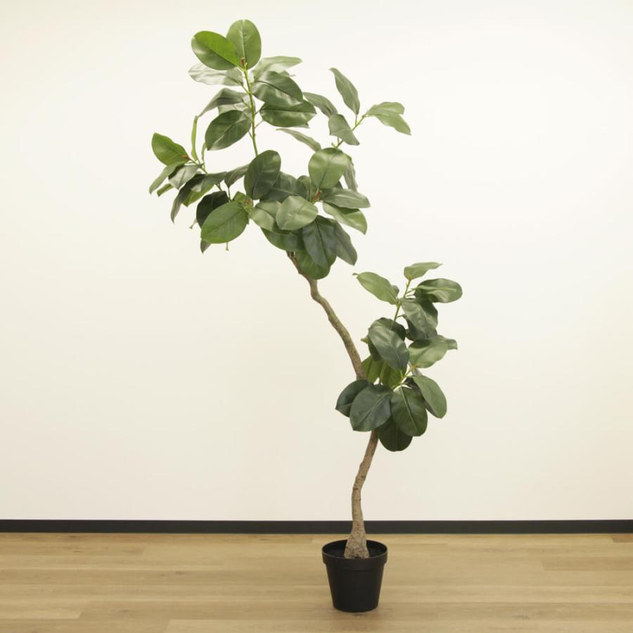 アスカ商会 フェイクグリーン 観葉植物 とりよせ品 【メーカー直送品