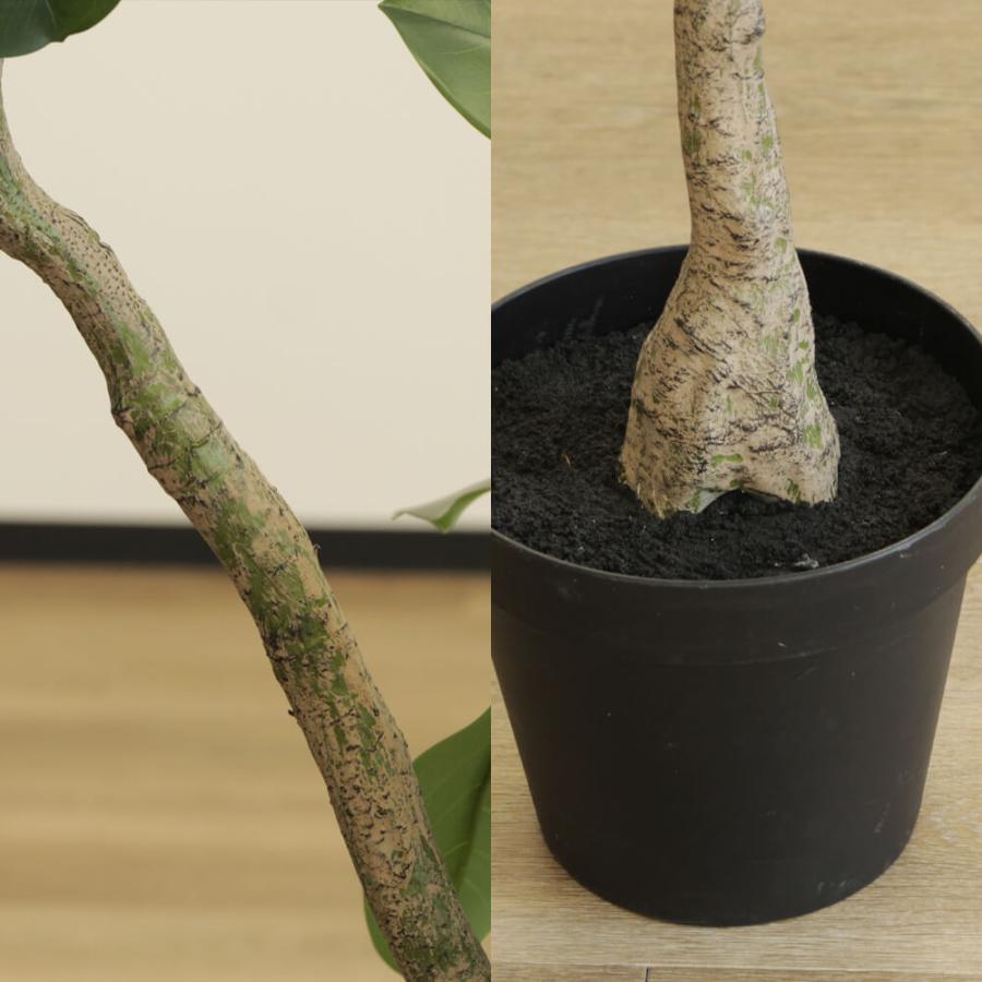 アスカ商会 フェイクグリーン 観葉植物 とりよせ品 【メーカー直送品