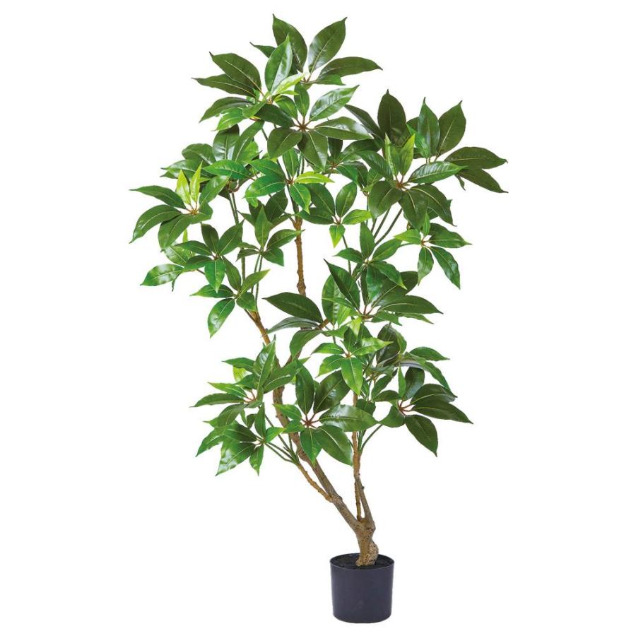 アスカ商会 フェイクグリーン 観葉植物 【メーカー直送品 