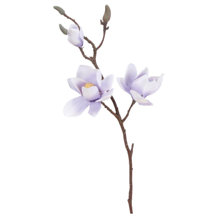 造花 とりよせ品 Asca アスカ マグノリア 2 つぼみ 4 和 木蓮 モクレン インテリア インテリアフラワー フェイクフラワー 花材 Asc A 造花ドライフラワー専門問屋花びし 通販 Yahoo ショッピング