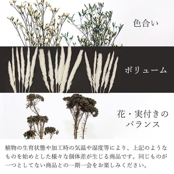 ドライフラワー 花材 とりよせ品 カスピア グレイ グレー スワッグ 髪 