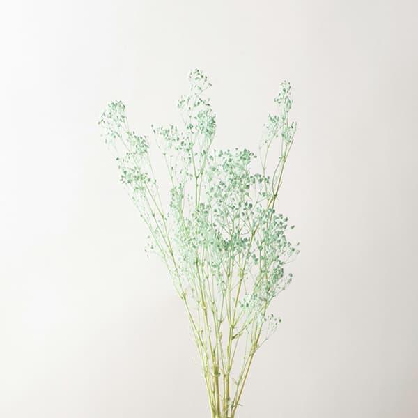 ドライフラワー 花材 とりよせ品 Asca アスカ カスミソウ シーフォームグリーン 緑 青 かすみ カスミ かすみ草 カスミ草 スワッグ 花 Asc An010 059s 造花ドライフラワー専門問屋花びし 通販 Yahoo ショッピング