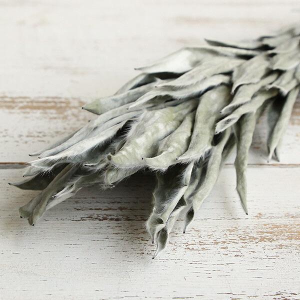 プリザーブドフラワー 即日出荷 Coretrading シルバーツリー ステム シルバーグリーン Cor 造花ドライフラワー専門問屋花びし 通販 Yahoo ショッピング