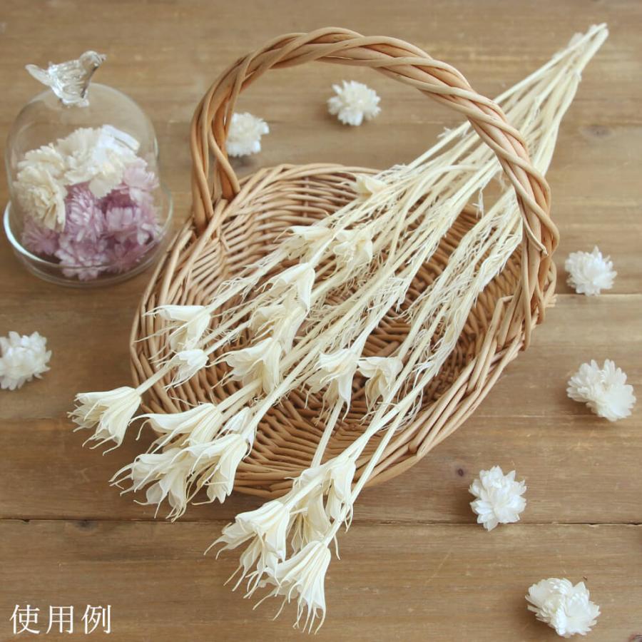 ドライフラワー 花材 即日出荷 ニゲラオリエンタス サラシ 素材 材料