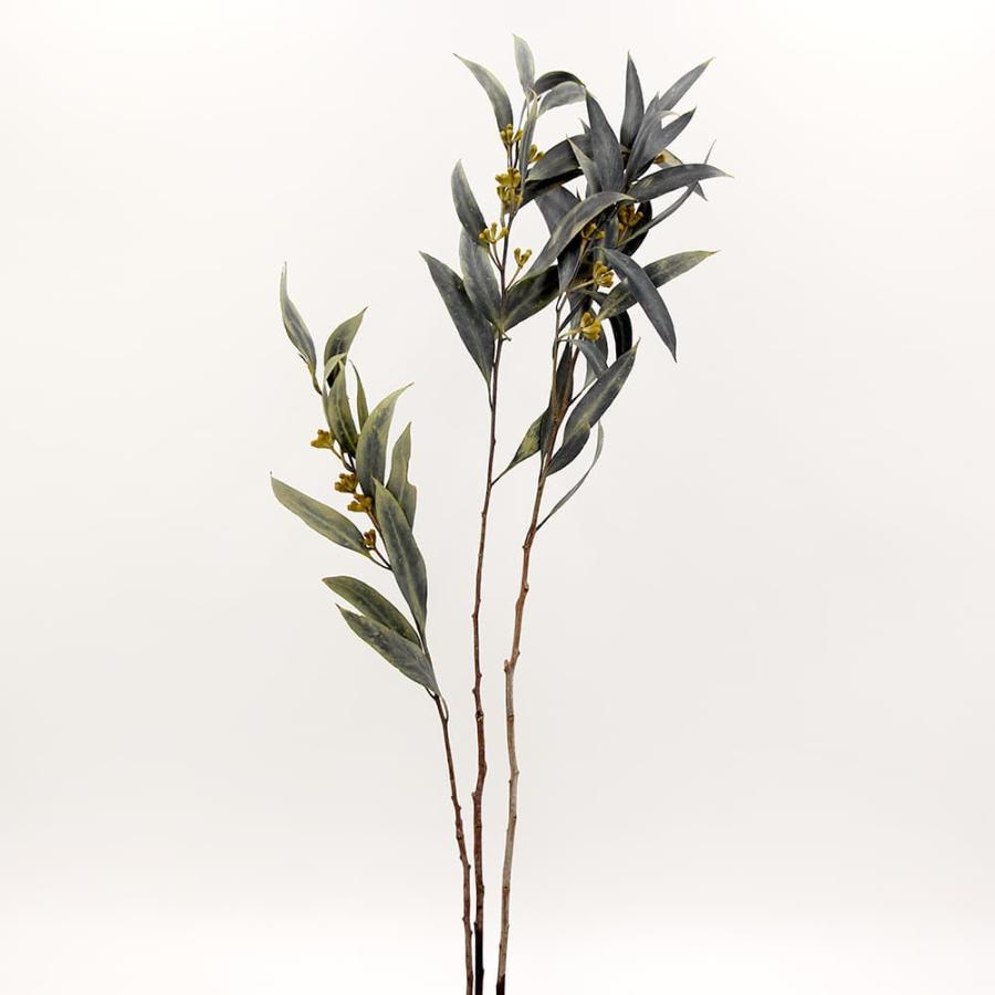 ドライフラワー 花材 即日出荷 Coretrading ユーカリ実付psd ブラック 花材 材料 パーツ 素材 ユーカリ 実付き 黒 スワッグ Cor 造花ドライフラワー専門問屋花びし 通販 Yahoo ショッピング