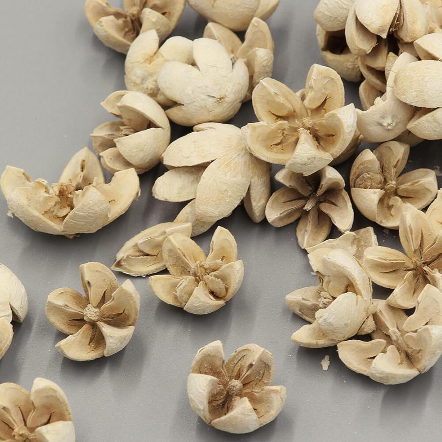 ドライフラワー 花材 即日出荷 【45%OFF】特価 ワケあり