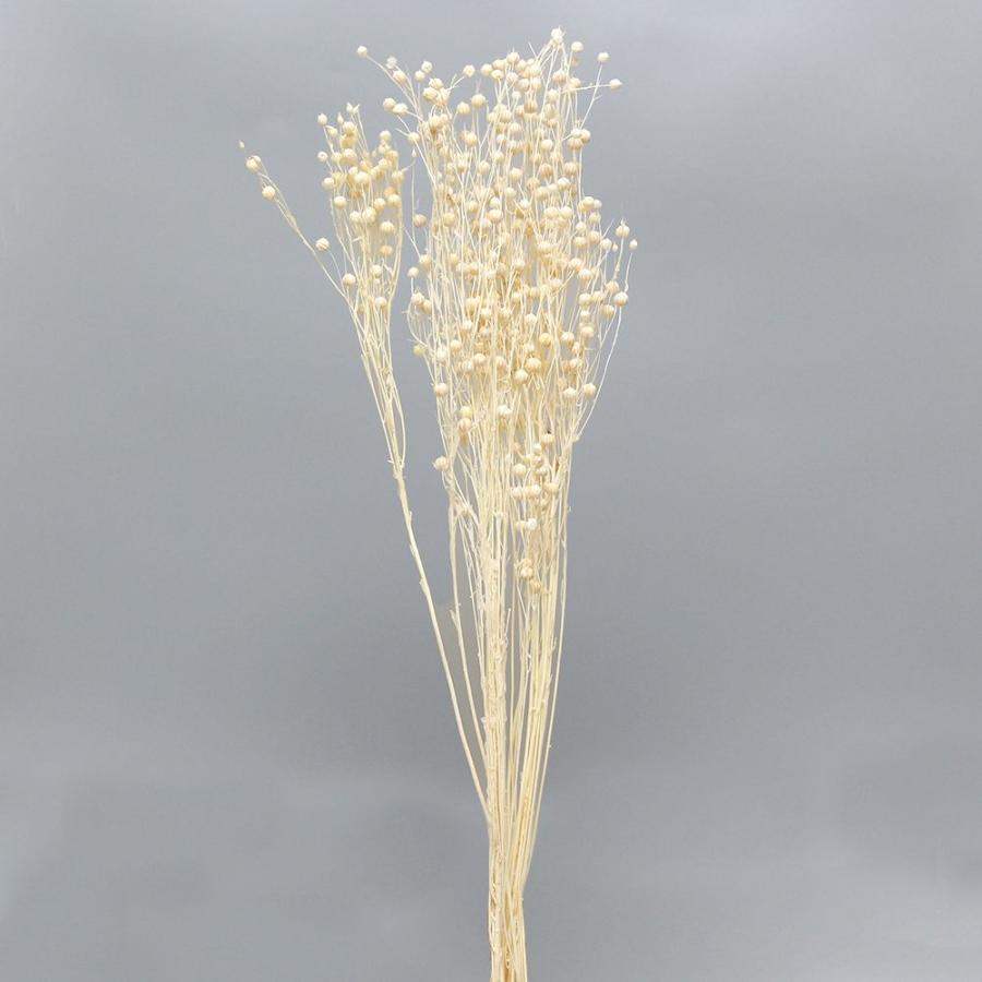 ドライフラワー 花材 即日出荷 フラックス サラシ 素材 材料 パーツ