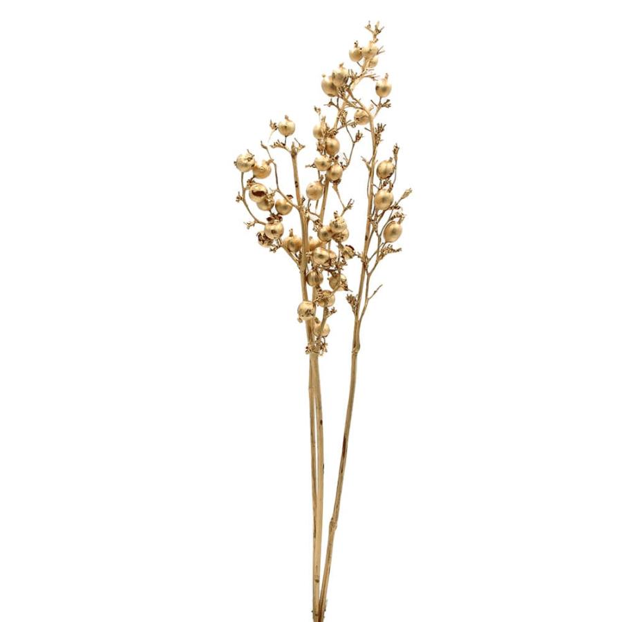 ドライフラワー 花材 即日出荷 ゴールドベリー ゴールド 素材 材料 
