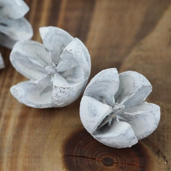 ドライフラワー 花材 即日出荷 ワラッチポッド グレイッシュ ※多少割れ