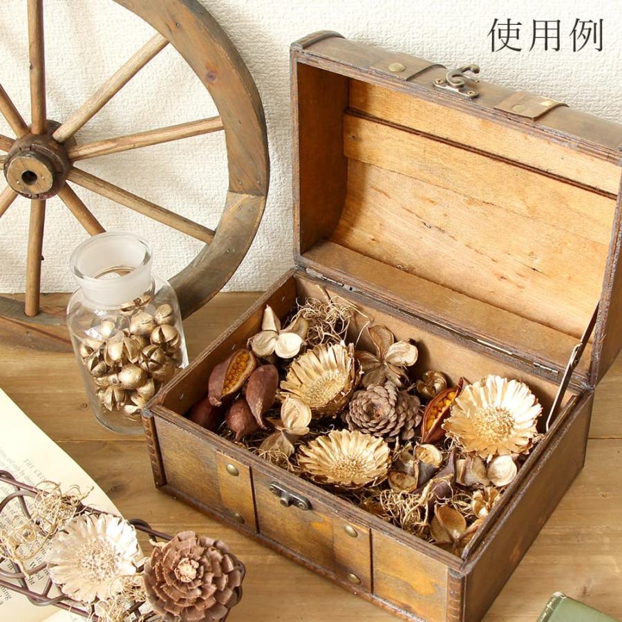 ドライフラワー 花材 即日出荷 ゴールドカーリーモス ゴールド 素材