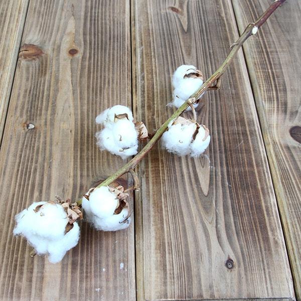 277円 格安 価格でご提供いたします ドライフラワー 花材 即日出荷 Coretrading コットンフラワー ナチュラルホワイト 綿 コットン ドライフラワー スワッグ ブーケ