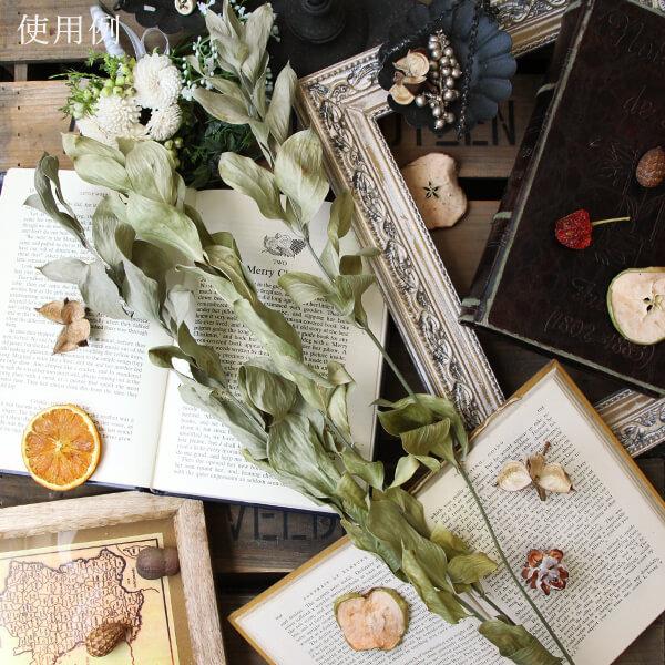ドライフラワー 花材 即日出荷 ルスカス ナチュラル 葉 リーフ