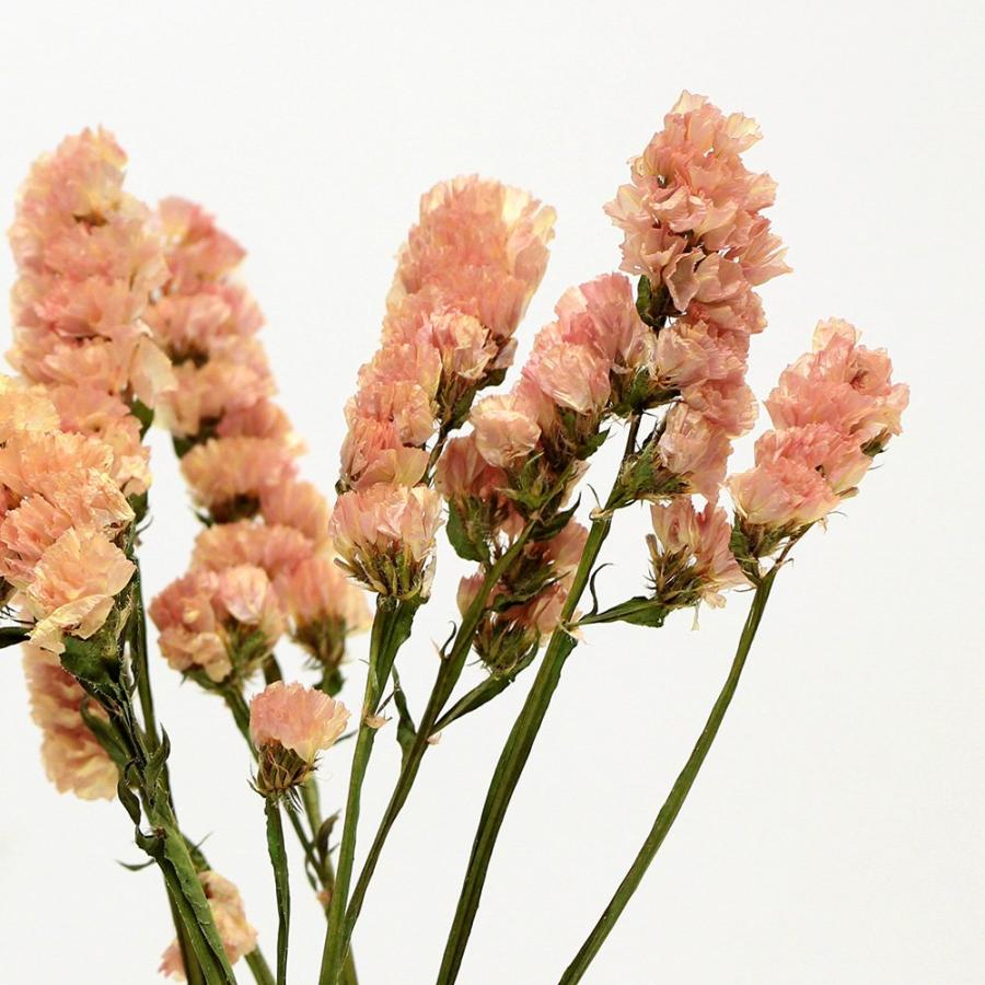ドライフラワー 花材 即日出荷 スターチス バレンシアオレンジ ※黄色味