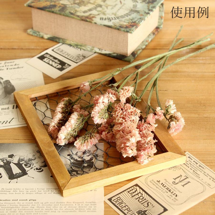 ドライフラワー 花材 即日出荷 スターチス バレンシアオレンジ ※黄色味