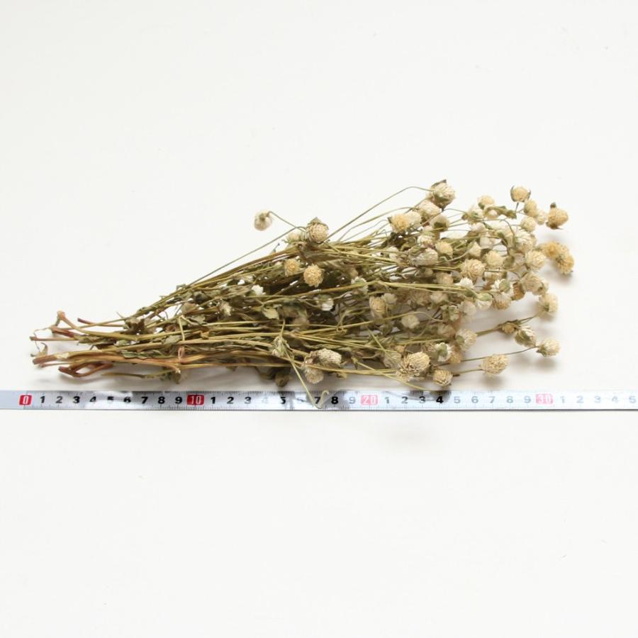 花入れ　３点セット 楽天市場】奥野晴明堂 花くらべ 3種セット 桐箱 アソート短寸