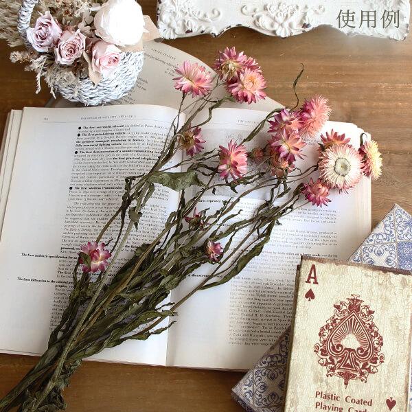 ☆ドライフラワー☆ Tokyo Dried Flower Shop – Tida Flower Tokyo (Omotesando) – ドライ