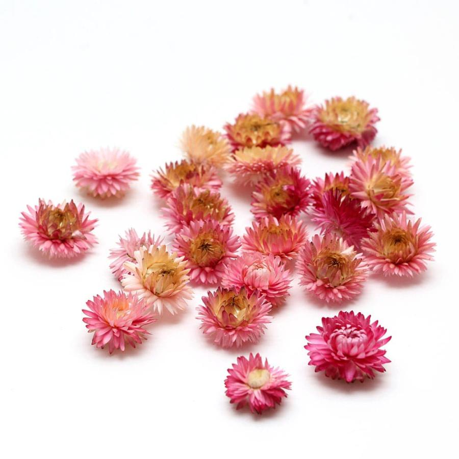 ドライフラワー花材セット。:°ஐ..♡*ヘリクリサム♡♡ ドライフラワー 花材 即日出荷 ヘリクリサム・ヘッド・ナチュラル
