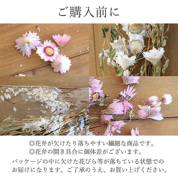 ドライフラワー 花材 即日出荷 ローダンセ・ナチュラルピンク ドライフラワー 花材 即日出荷 ローダンセ・ナチュラルピンク