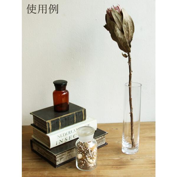 残り一点限り プロテア レディディ３本 全商品ポイント2倍 ハンドメイド Missnativeamericanusa Com