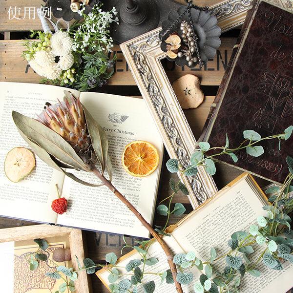 ドライフラワースワッグプロテアインテリア北欧プレゼント贈り物