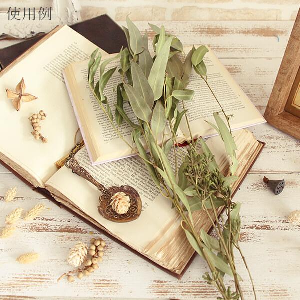 ドライフラワー 即日出荷 Coretrading ウィローユーカリ 実付き ナチュラル スワッグ 花材 材料 ドライ 自然素材 インテリア Cor 造花ドライフラワー専門問屋花びし 通販 Yahoo ショッピング