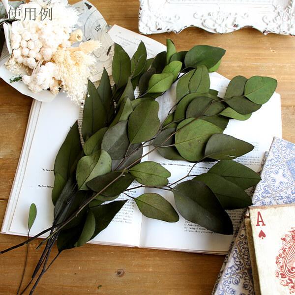 プリザーブドフラワー 花材 即日出荷 ポプルス グリーン 葉 リーフ