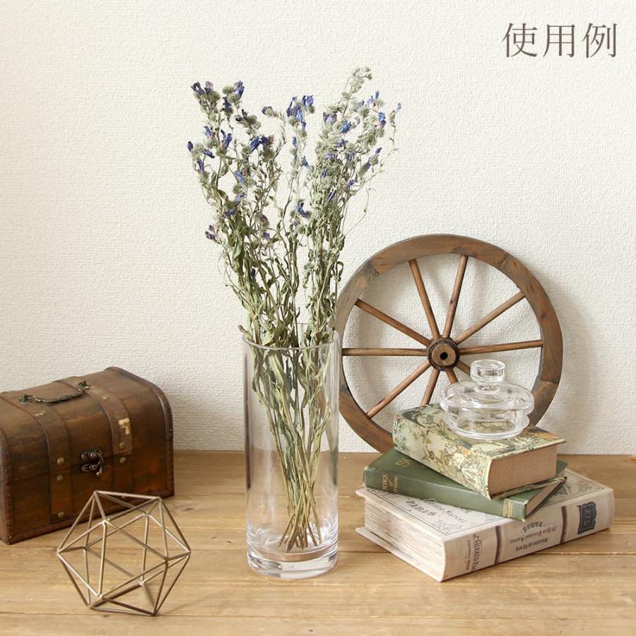 ドライフラワー 花材 即日出荷 【40％OFF】特価 エキウム ナチュラル 