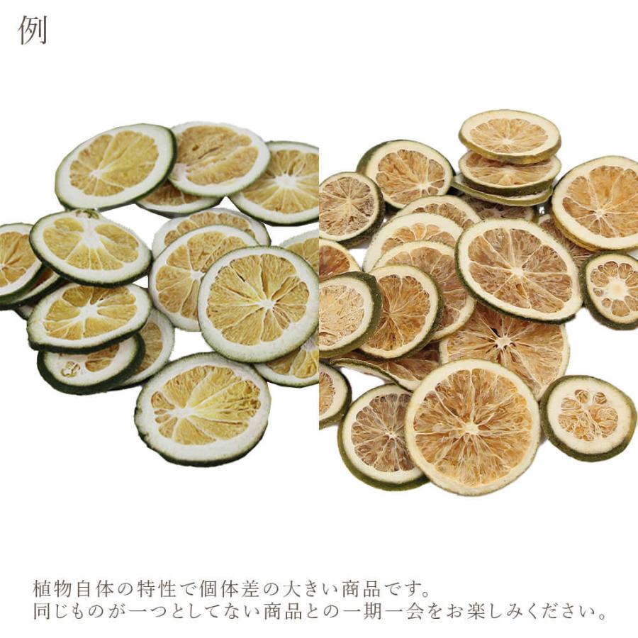 ドライフラワー 花材 即日出荷 オレンジスライス Nグリーン オレンジ
