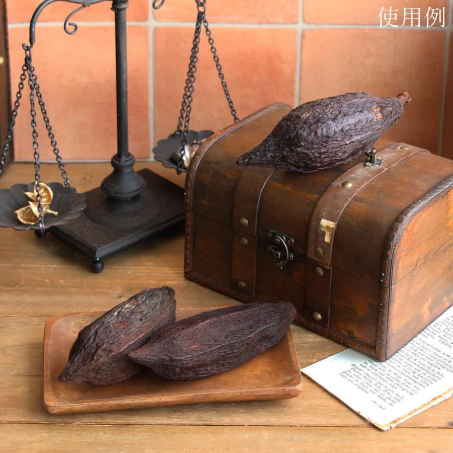 ドライフラワー 花材 即日出荷 カカオホール・小 ナチュラル ※小サイズ