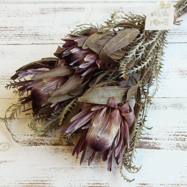 ドライフラワー 花材 即日出荷 特価 ワイルドスワッグ・プロテア