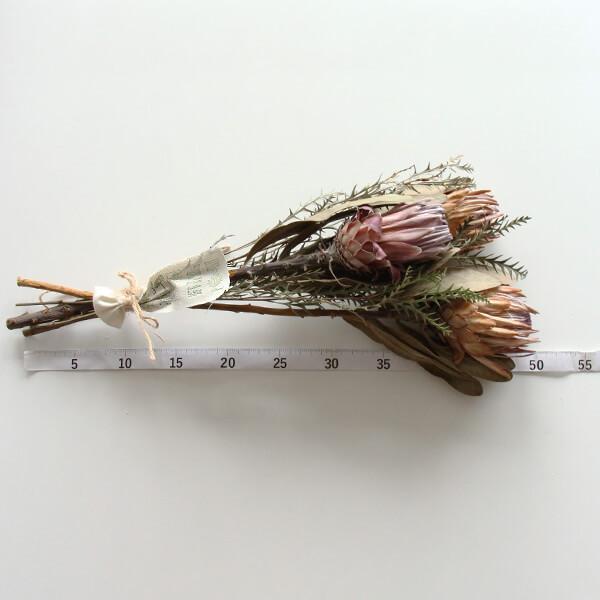 ドライフラワー 花材 即日出荷 特価 ワイルドスワッグ・プロテア