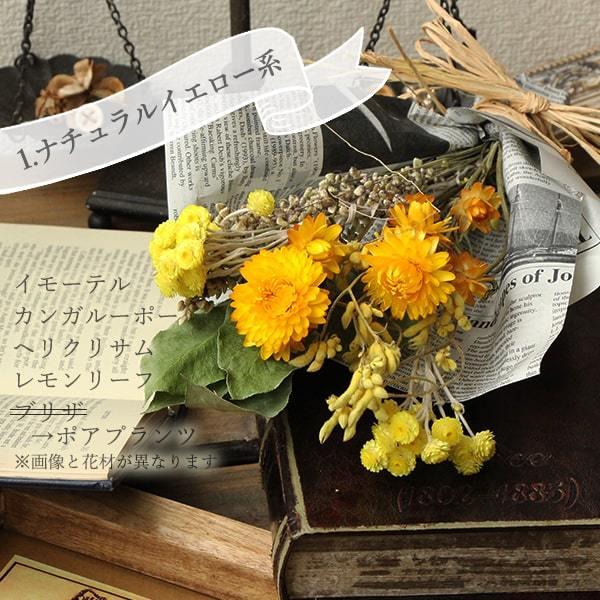 ドライフラワー 花材 即日出荷 スワッグハンディクラフトキット ドライフラワー 花材 即日出荷 スワッグハンディクラフトキット