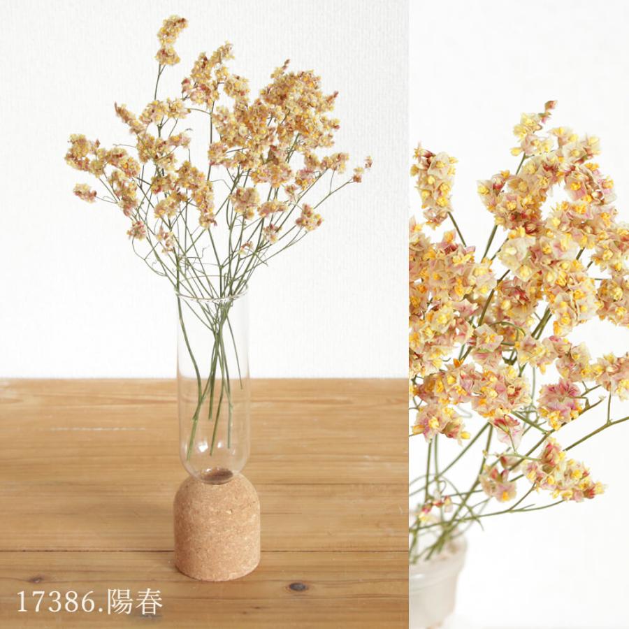 ドライフラワー 花材 即日出荷 ハイブリッドスターチス スワッグ 材料