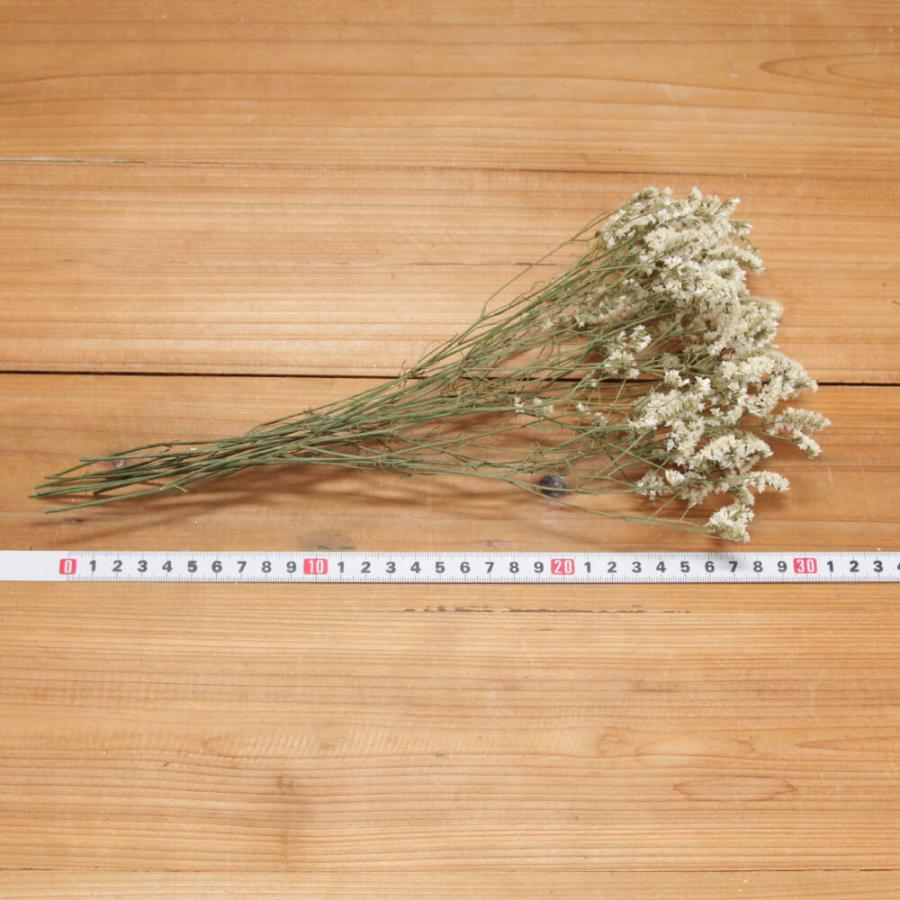 ドライフラワー　スターチス白　⑥  スワッグ ドライフラワー 花材 即日出荷 スターチス スワッグ 材料 パーツ